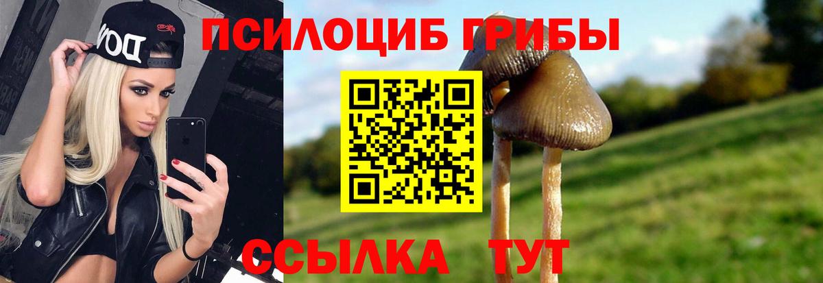 наркота  Галлюциногенные грибы Psilocybine cubensis  Вход с VPN  Кирово-Чепецк 